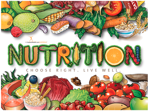 Hunger & Nutrition Meta